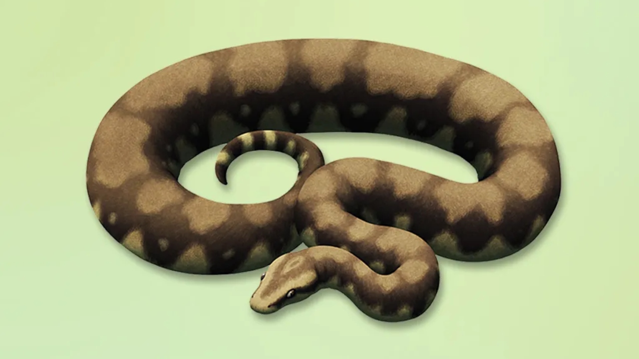 Veja detalhes do novo fóssil que pode ter superado a cobra Titanoboa