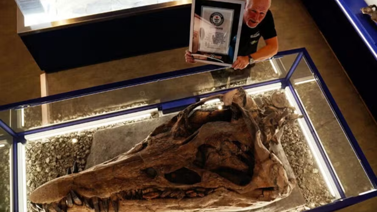 Guinness: Crânio de 150 milhões de anos de monstro marinho quebra recorde