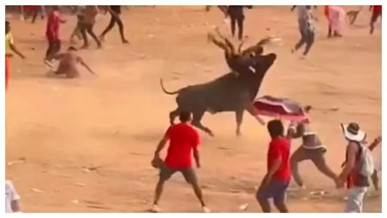 Duas pessoas morrem e outras 29 ficam feridas em evento com touro na Colômbia