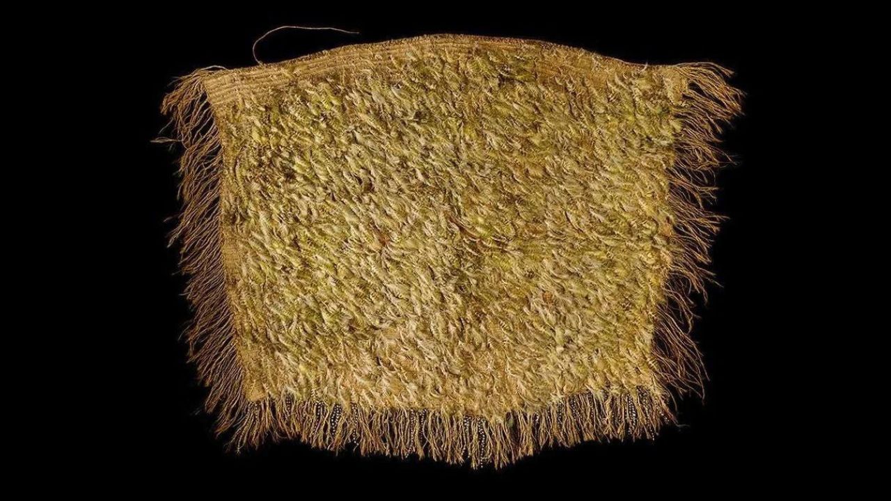 Manto maori feito de penas de kakapo é exibido ao público na Nova Zelândia