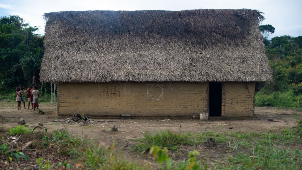 Estudo aponta de déficit cognitivo em mulheres Yanomami que vivem próximas a garimpo
