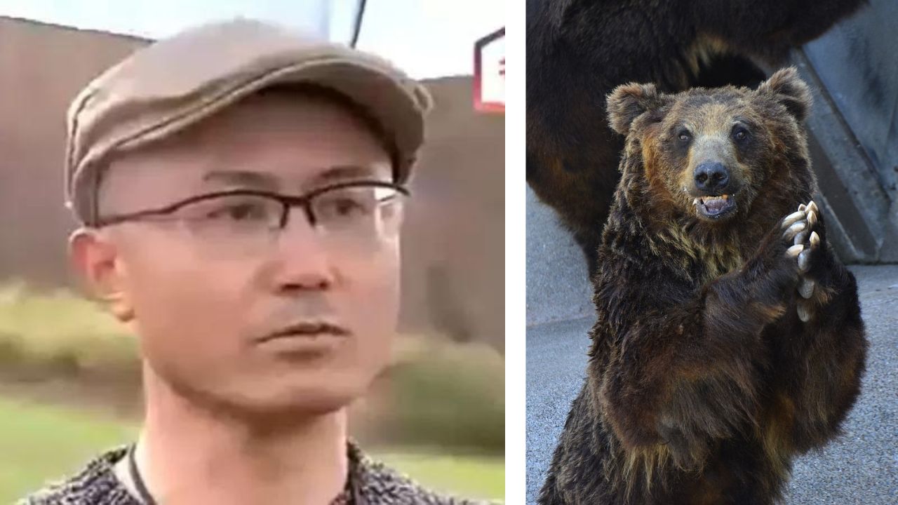 Lutador de caratê atacado por ursos escapa da morte ao afastar animais com chutes