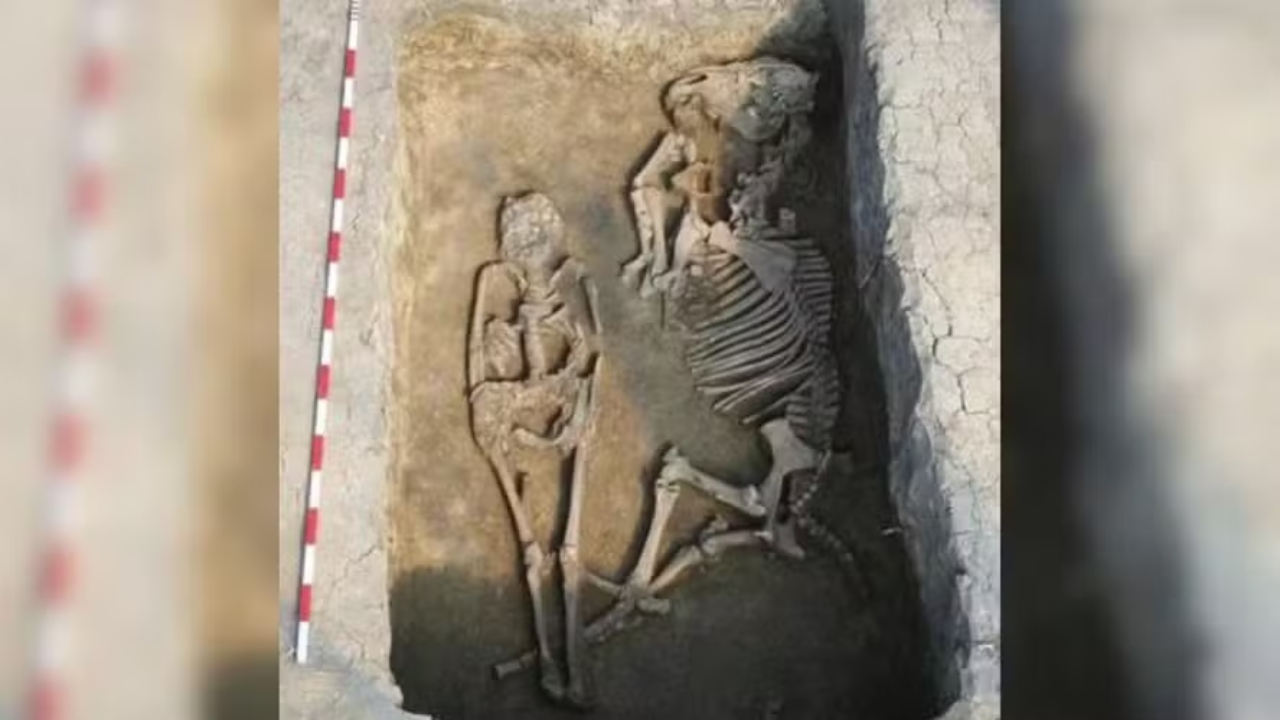 Na Hungria, esqueleto do século 6 é encontrado ao lado de ossada de cavalo