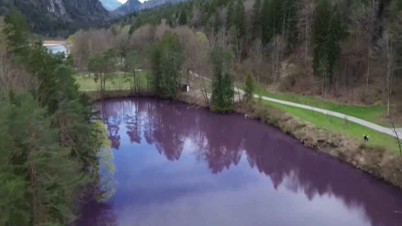 Alemanha: Lago amanhece roxo e coloração intriga moradores