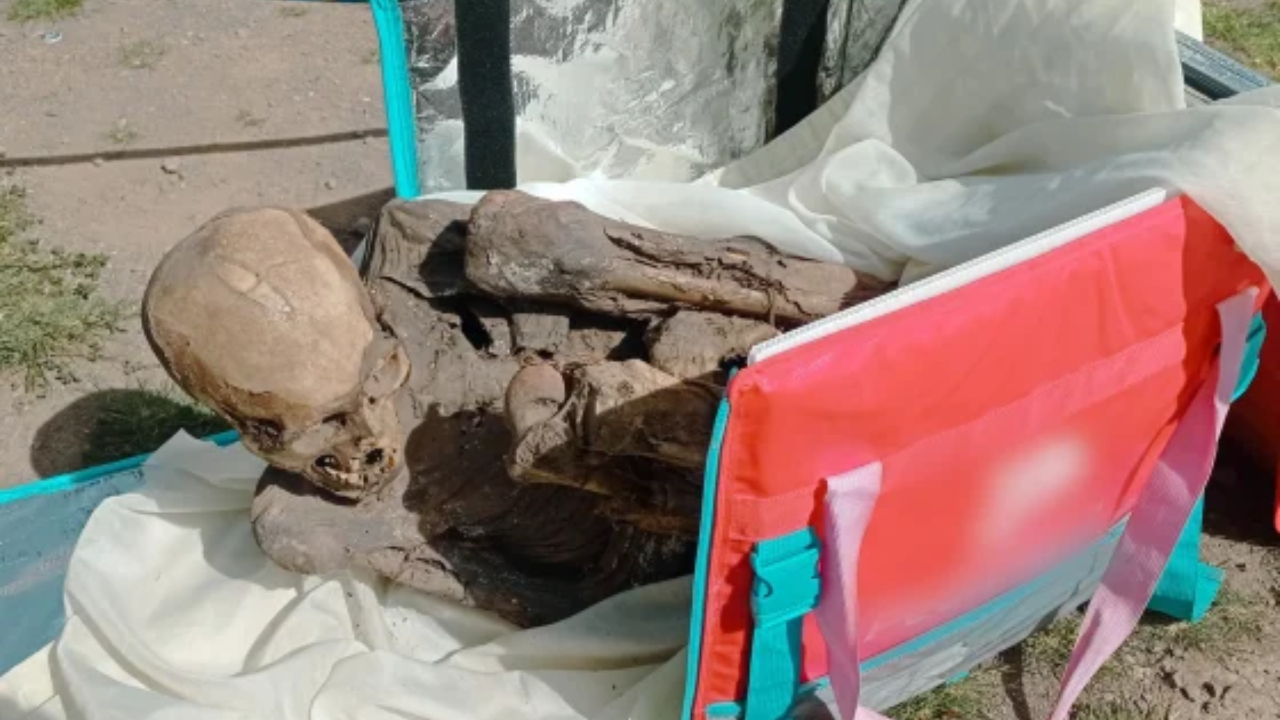 Relembre a múmia encontrada na mochila de um entregador no Peru