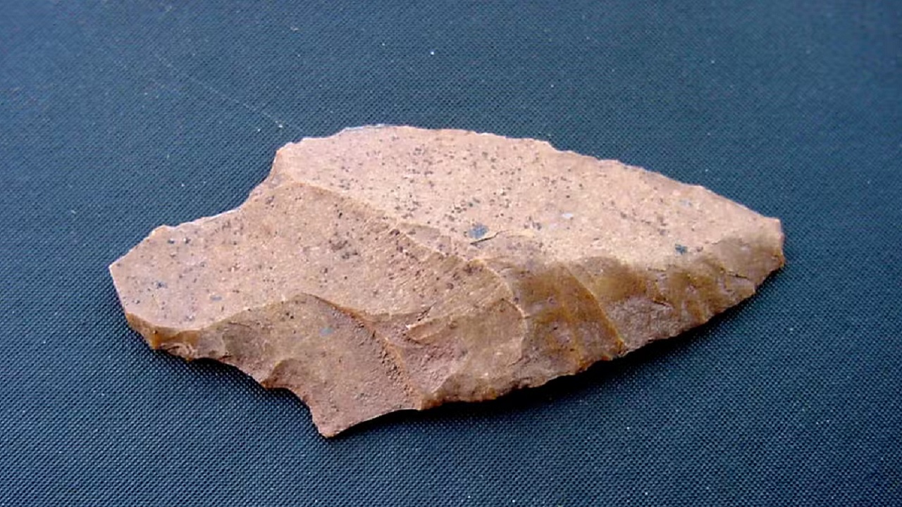 Mais antigo de SP: Sítio arqueológico de 3.800 anos é localizado no Morumbi
