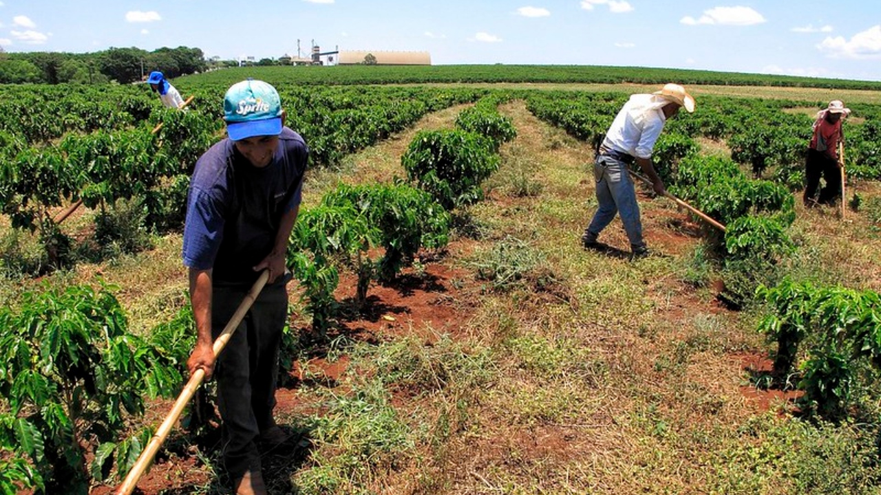 ‘Luta dos trabalhadores’: Conheça a origem do Dia do Trabalho