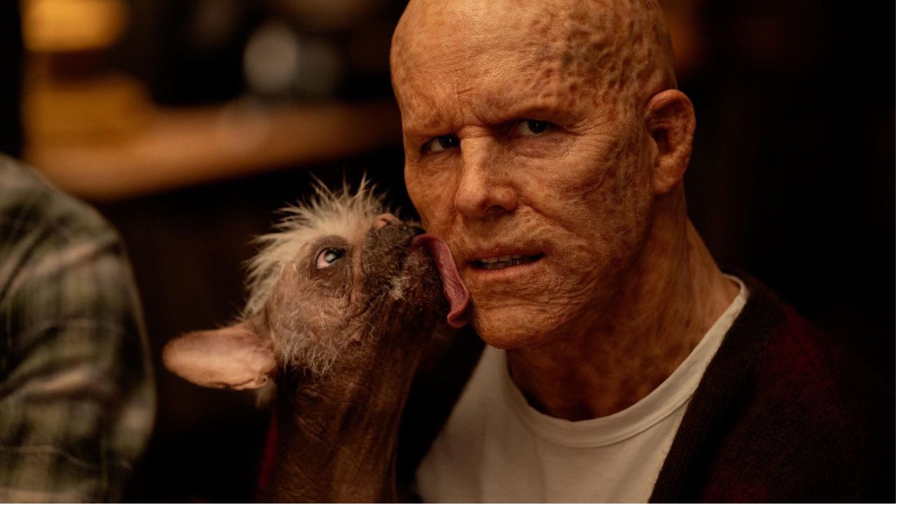 Cachorro eleito o mais feio do Reino Unido vira estrela da Marvel