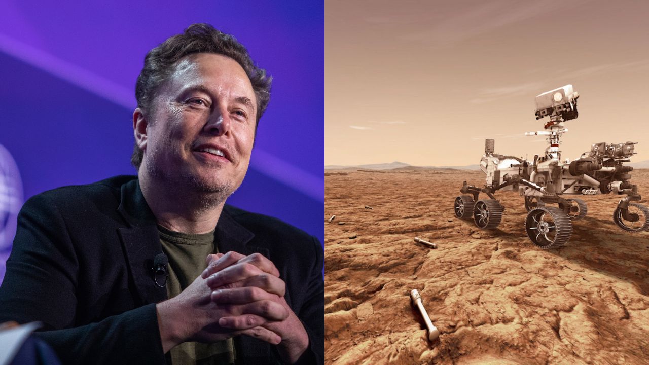 Elon Musk diz que em 30 anos humanos vão colonizar Marte