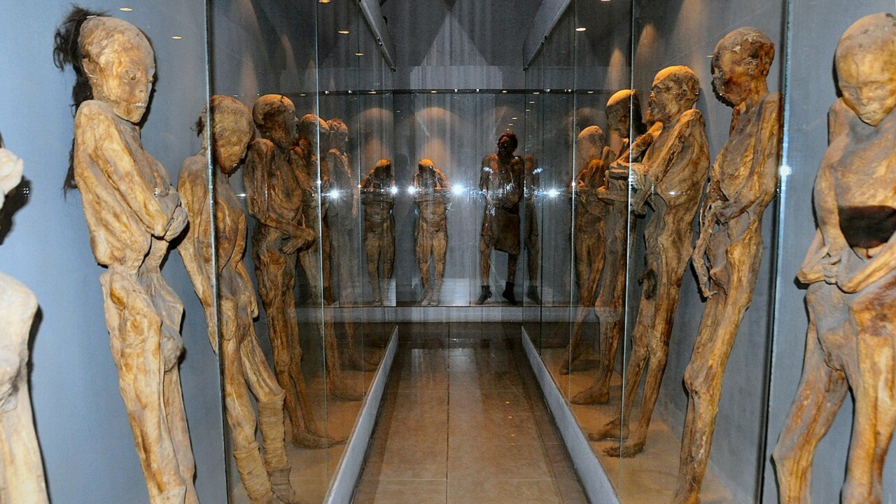 Braço de múmia cai em museu no México e gera acusação de negligência