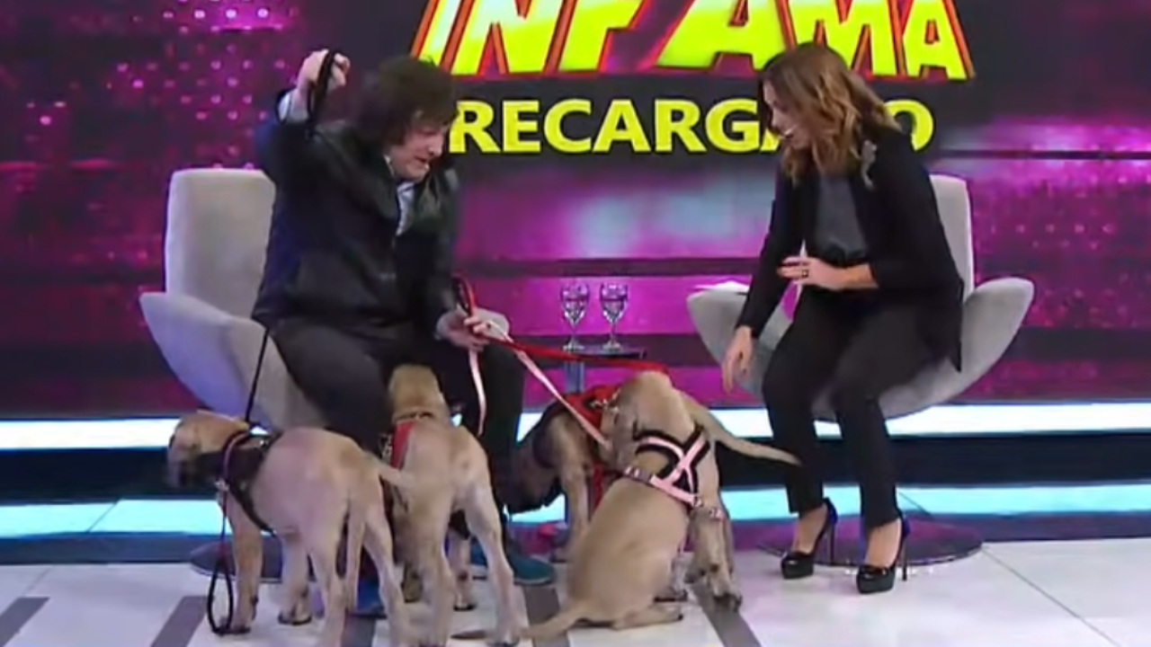 Javier Milei, presidente da Argentina, clonou seus cachorros? Entenda!