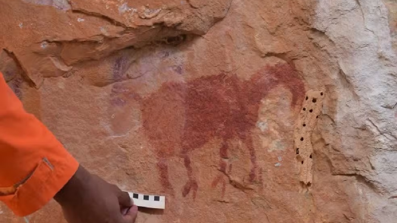 Bahia: Pinturas pré-históricas são descobertas por arqueólogos