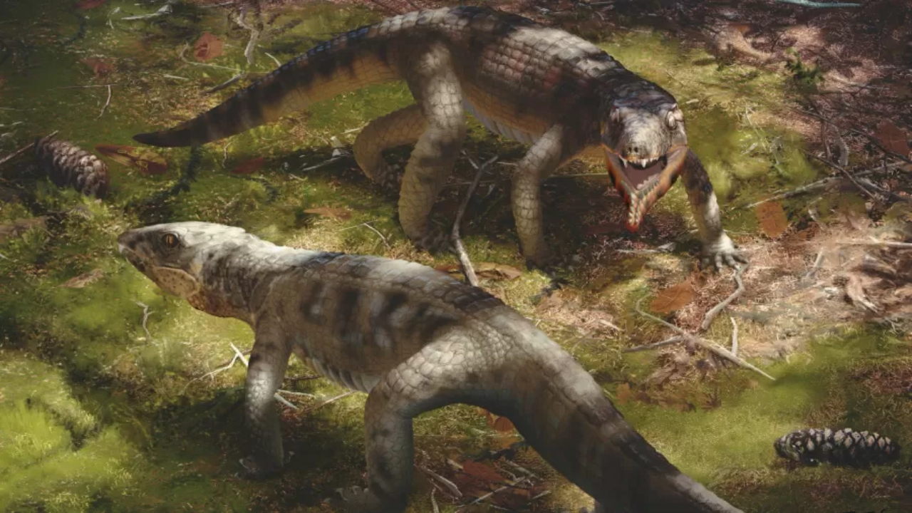 Crocodilo capaz de emitir sons e comido por dinossauros é descoberto no Brasil