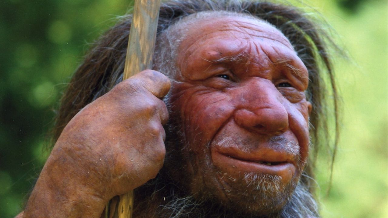 Pesquisador encontra vírus humanos mais antigos em neandertal de 50 mil anos