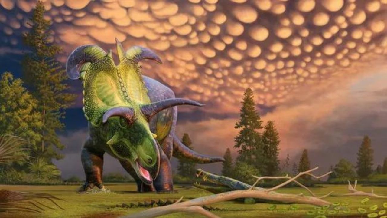 Dinossauro recém-descoberto ganha nome em homenagem a deus nórdico
