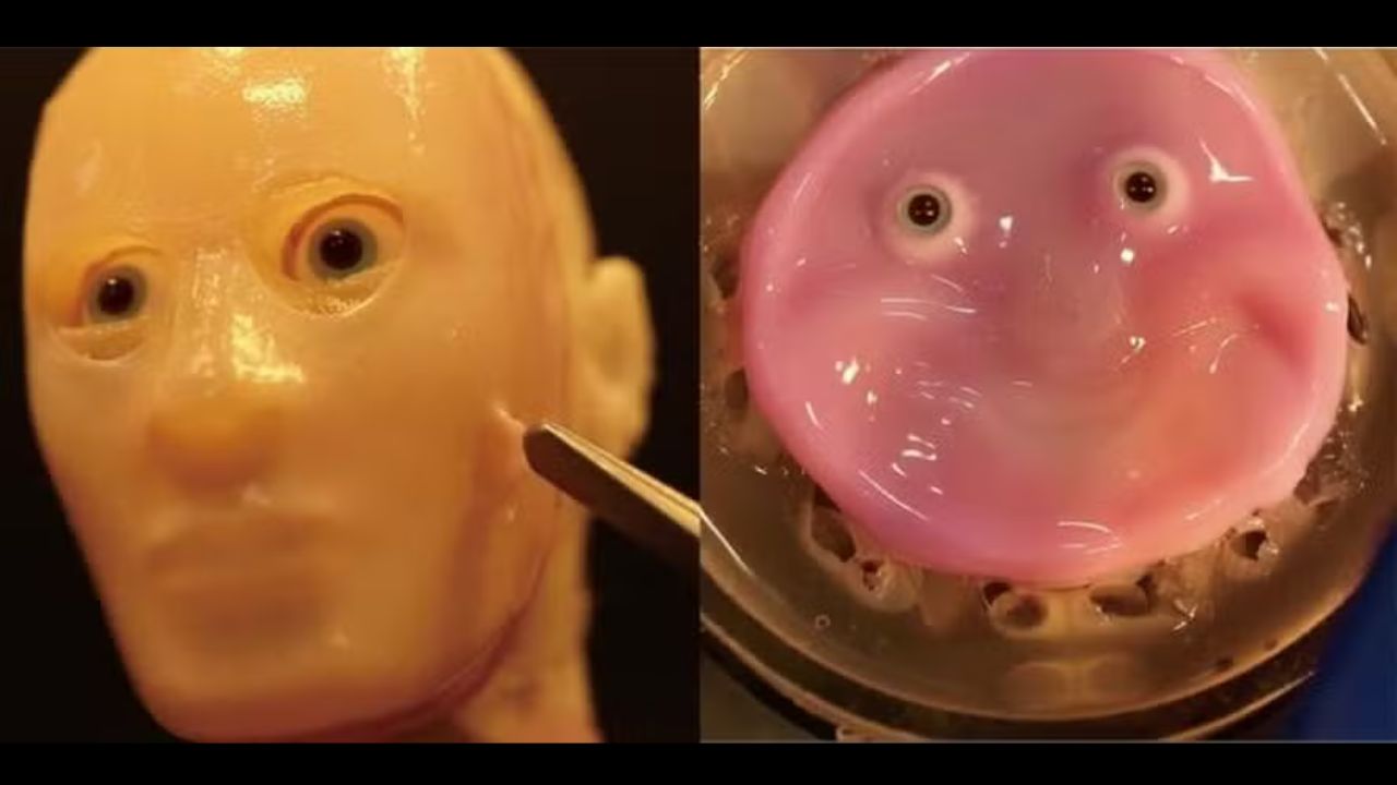Para fazer robôs sorrirem, cientistas desenvolvem pele artificial mais realista