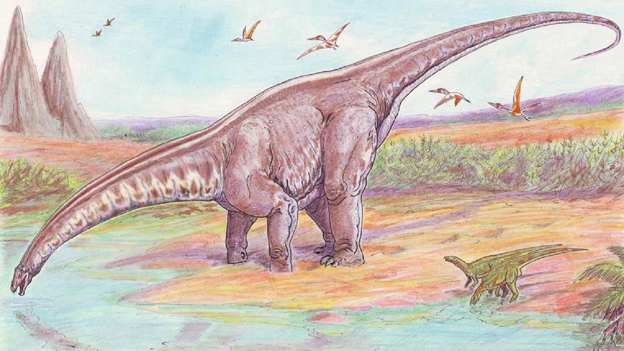 Fóssil do maior dinossauro já colocado à venda será leiloado na França