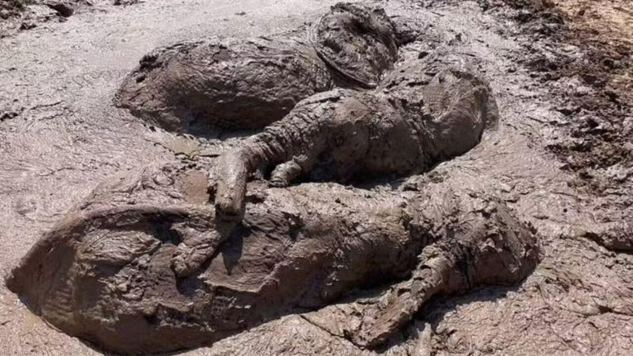 Pesquisadores encontram armadilha de areia movediça pré-histórica