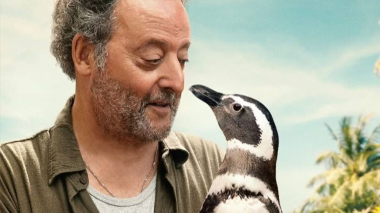 Baseado em história real, ‘Meu Amigo Pinguim’ tem data de estreia nos cinemas