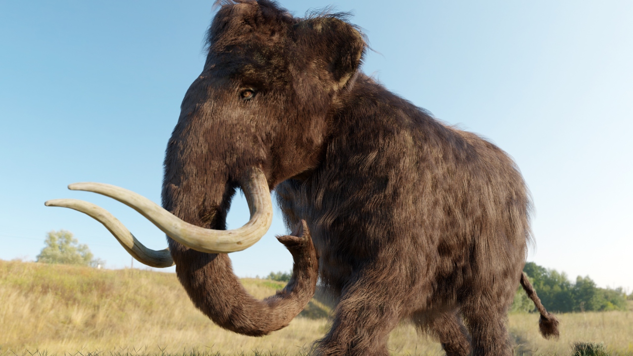 Mamutes e dodôs: A empresa que quer trazer de volta à vida animais extintos