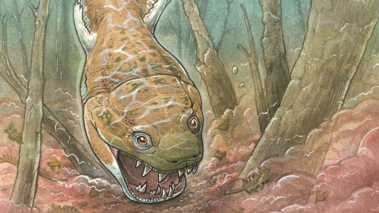 ‘Monstro’ do pântano mais antigo que os dinossauros é descoberto na Namíbia