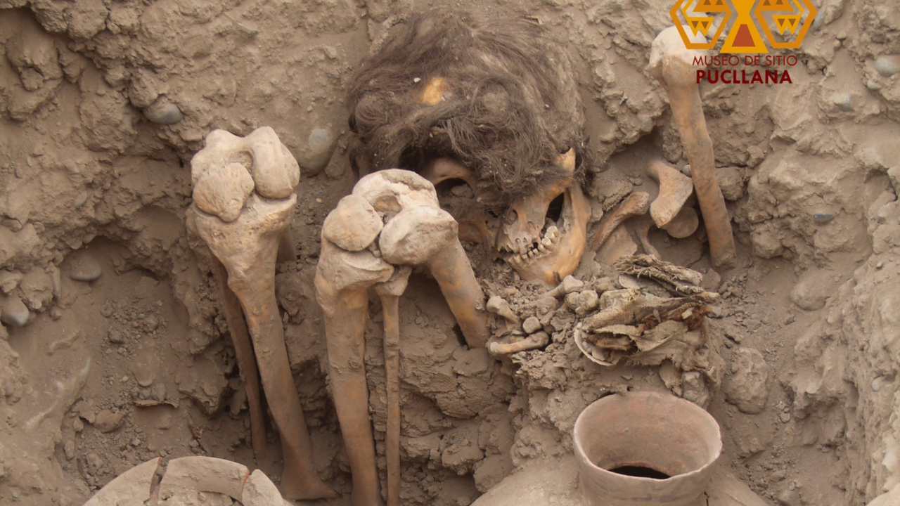 Relembre a descoberta da múmia ‘cabeluda’ de mil anos encontrada no Peru