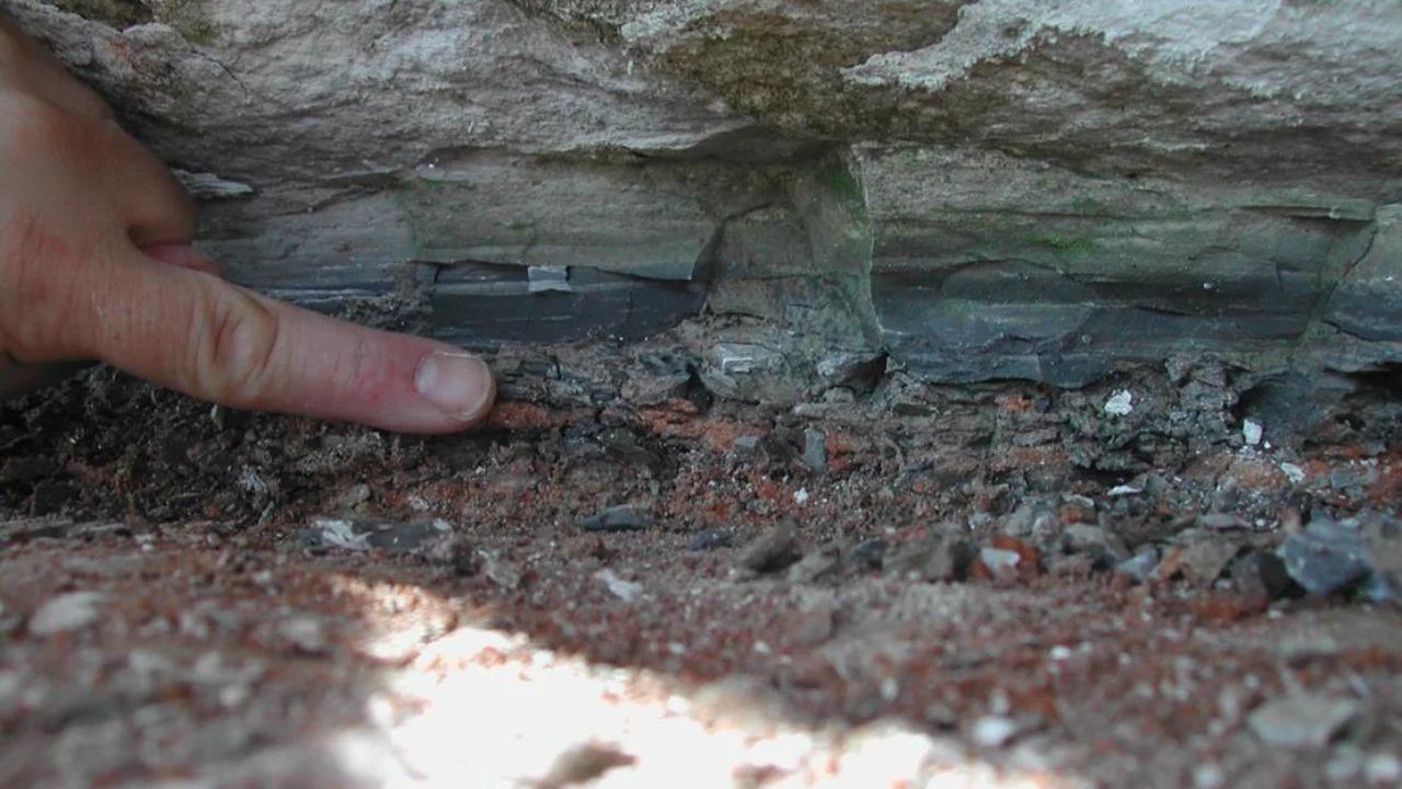 Origem do asteroide que matou os dinossauros é ‘incomum’, revela estudo