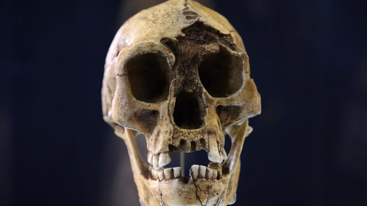 Fóssil de pequeno hominídeo revela mistérios de antiga espécie ‘humana’