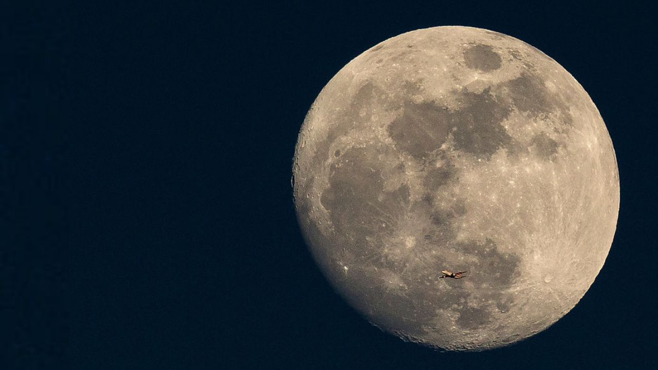 Cientistas propõem a criação de cofre lunar para preservar espécies