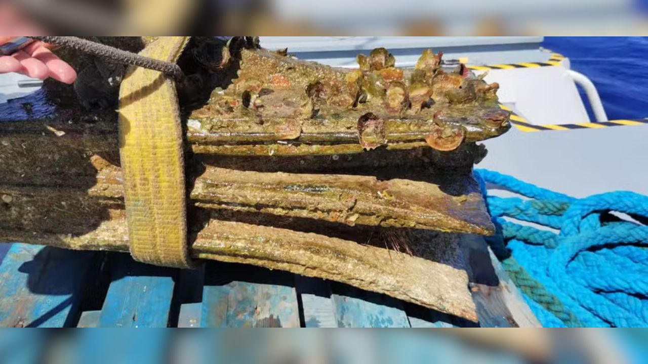 Aríete de bronze utilizado durante a Primeira Guerra Púnica é encontrado na Itália