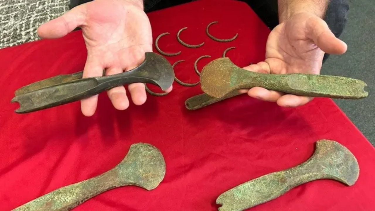 Tesouro de joias e armas da Idade do Bronze é encontrado na República Tcheca