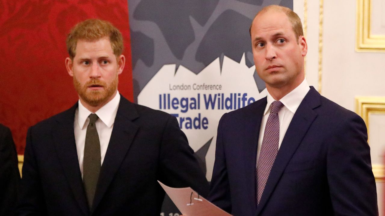Harry e William já eram distantes antes mesmo da morte de Diana, diz biógrafa