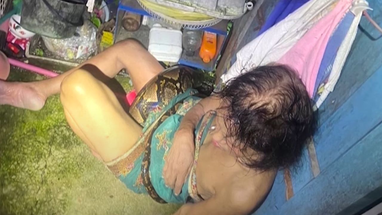 Tailandesa revela como resistiu a ataque de píton gigante durante duas horas