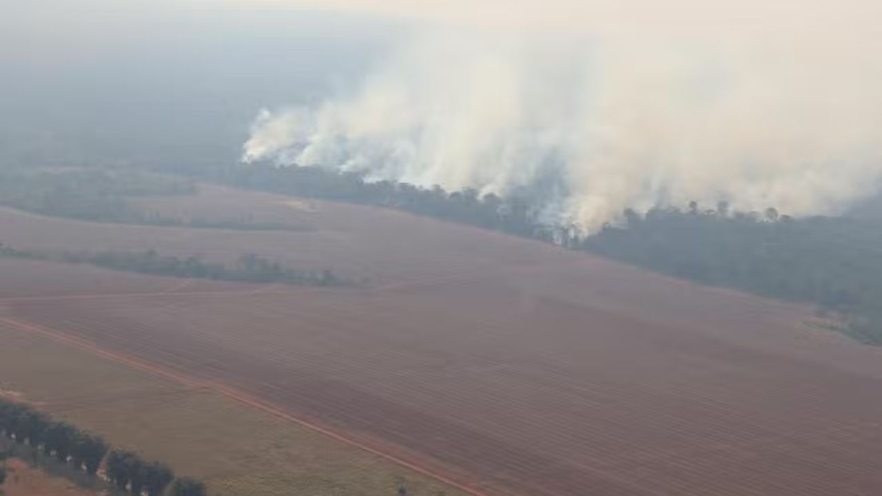 Parque no Mato Grosso perde 10 mil campos de futebol um mês com queimadas