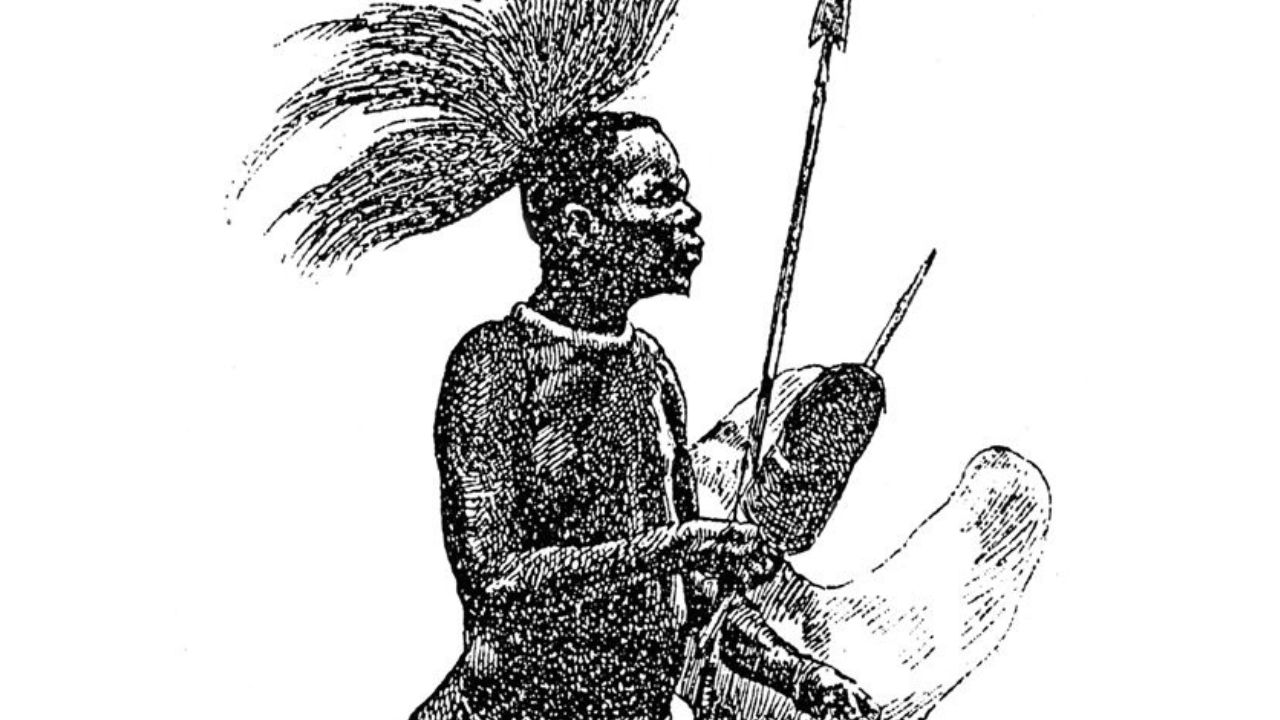 O guerreiro africano que foi empalhado e apresentado como atração em museus