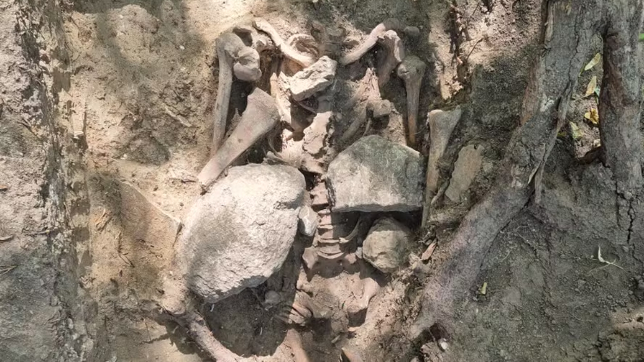 Esqueleto do século 17 é descoberto soterrado em pedras na Alemanha