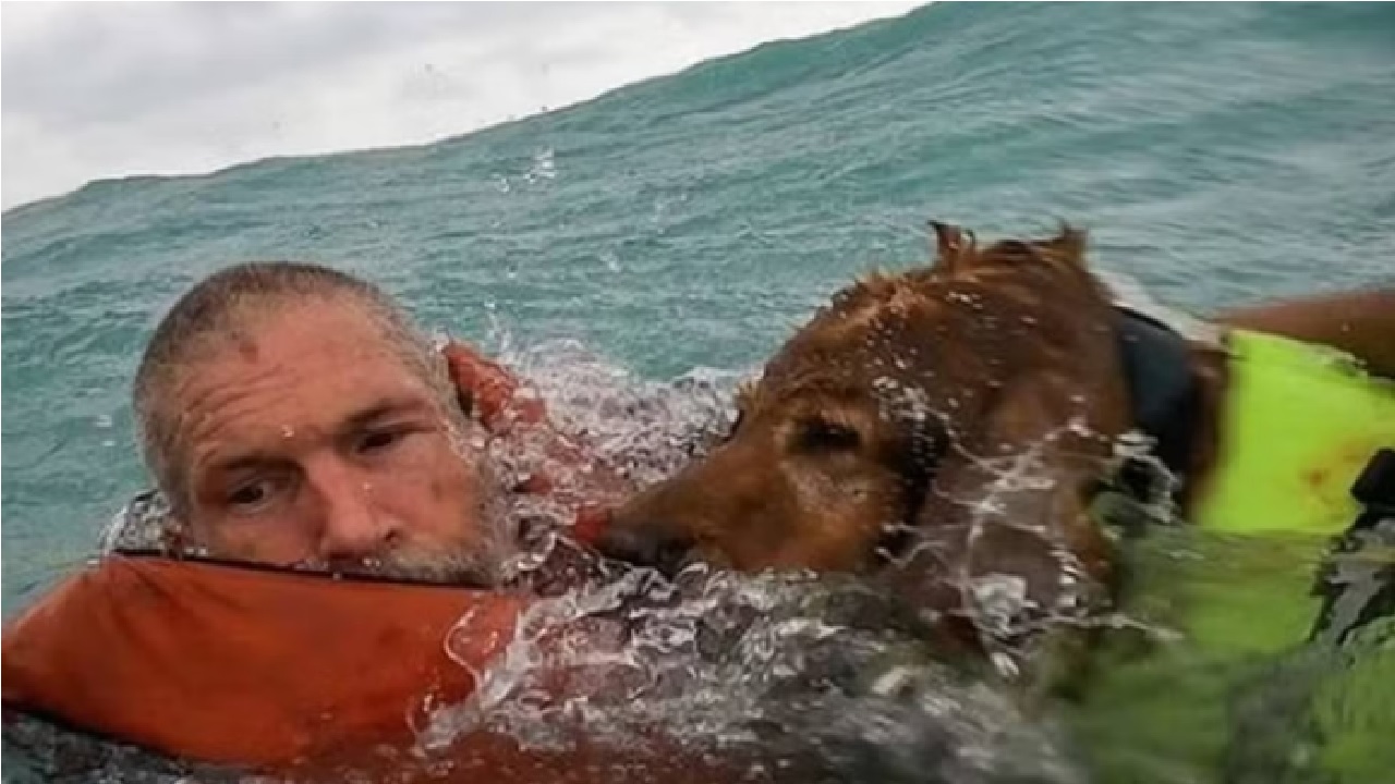 Em meio a furacão, homem e cachorro ficam à deriva nos Estados Unidos