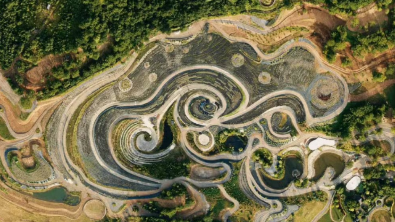Empresário reproduz ‘Noite Estrelada’ de van Gogh em jardim na Bósnia