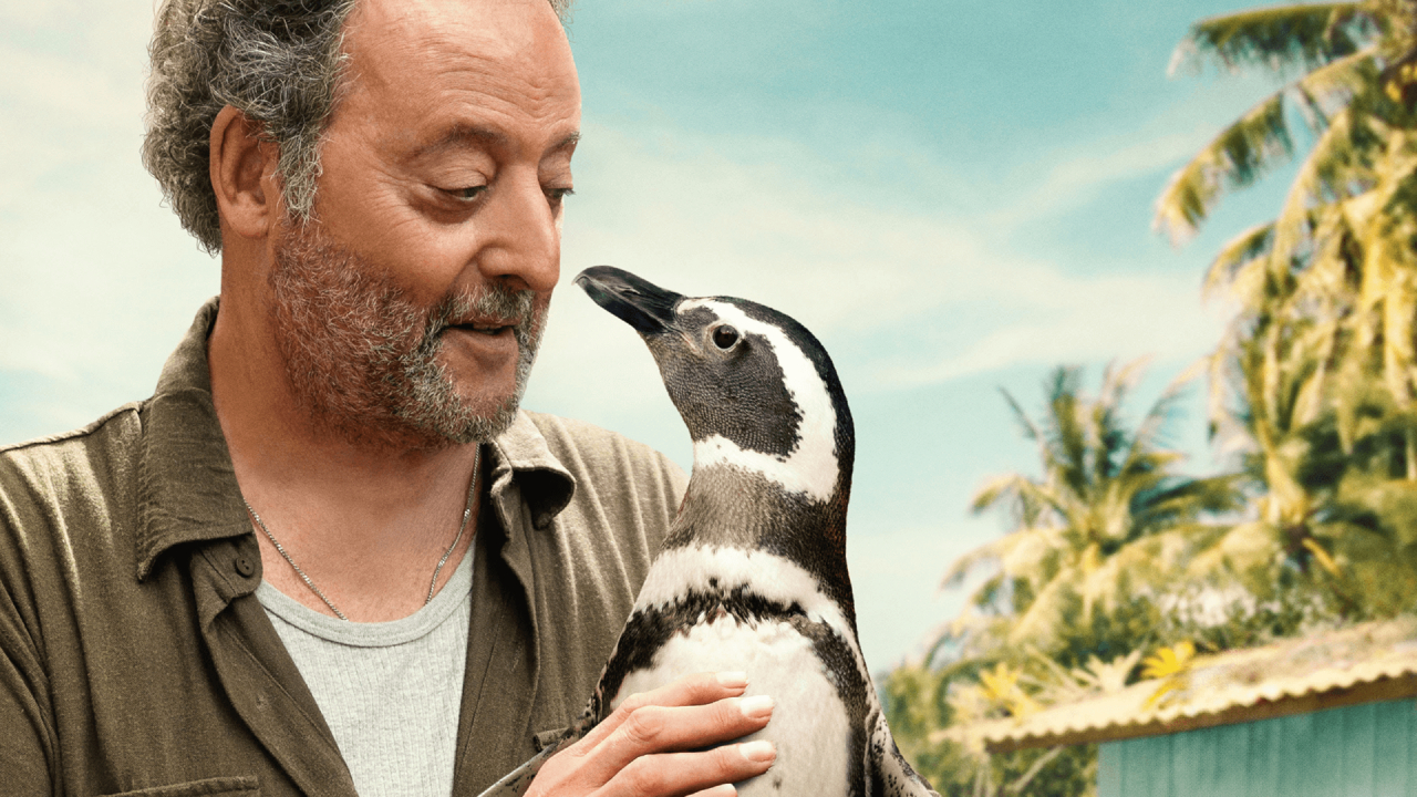 Baseado em fatos, filme narra amizade entre pescador carioca e pinguim