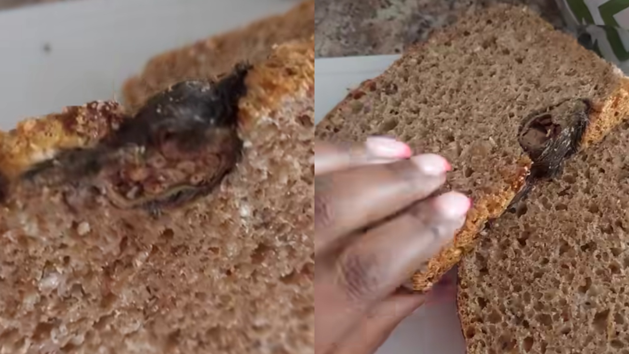 Mulher encontra elemento assustador em pão de forma: ‘Isso é um…’
