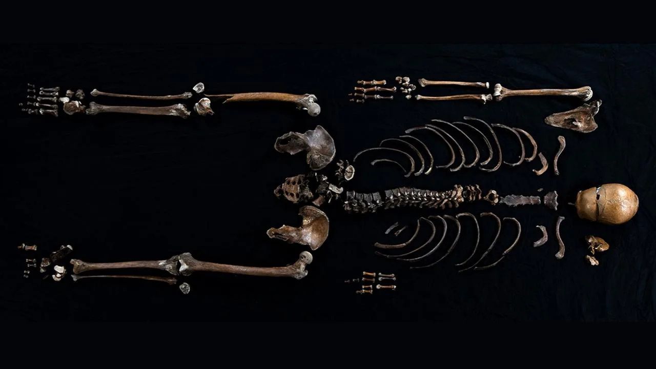Restos mortais de homem citado em saga nórdica de 800 anos são descobertos