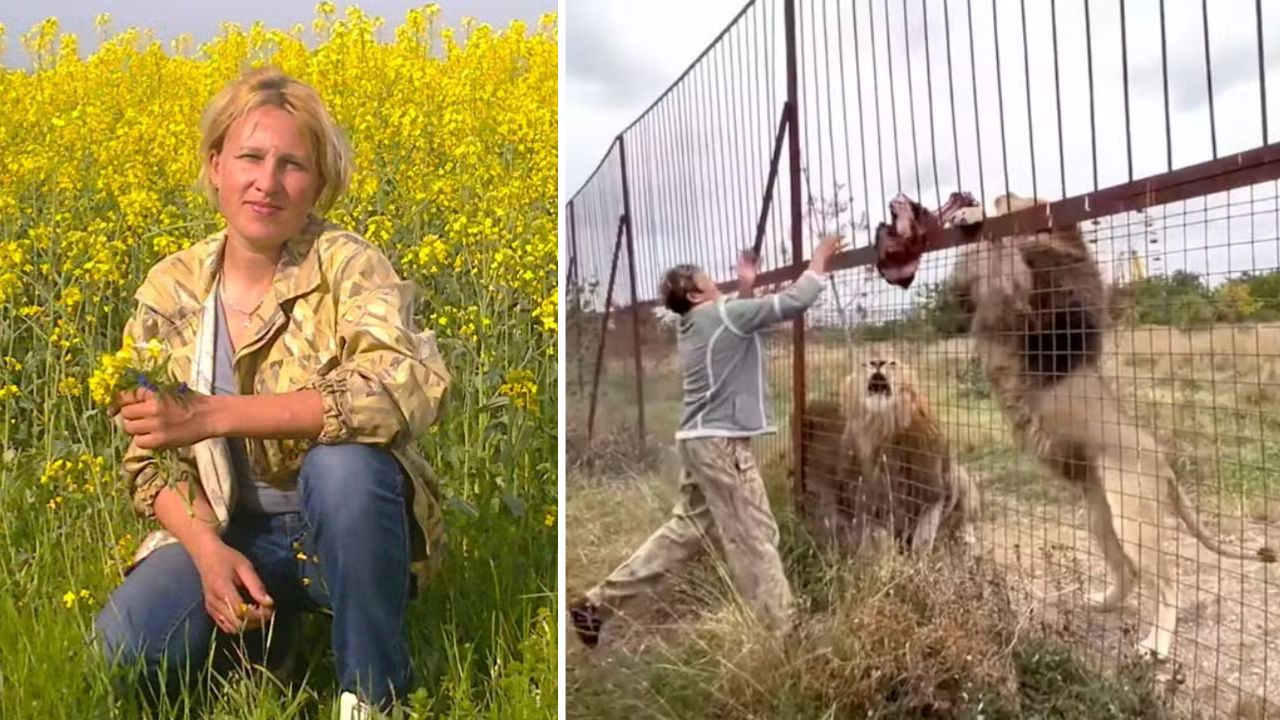 ‘Encantadora de leões’ é morta por felinos em parque na Crimeia