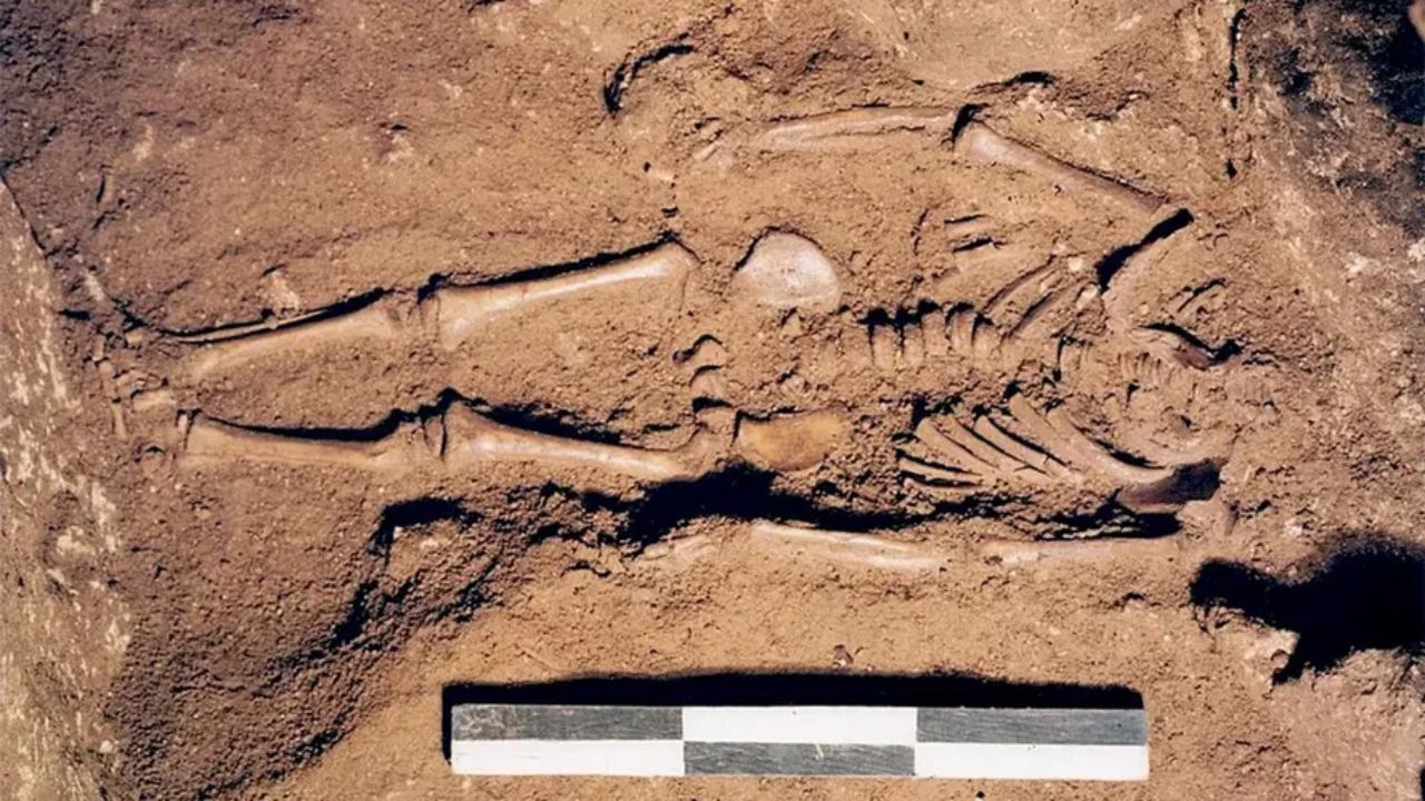 Cientistas encontram restos de bebê que viveu na Itália durante a última era glacial