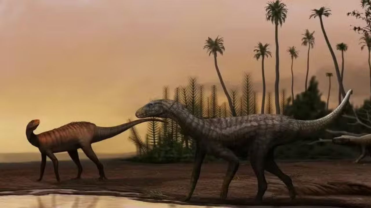Fóssil encontrado no Brasil pode solucionar mistério sobre os dinossauros