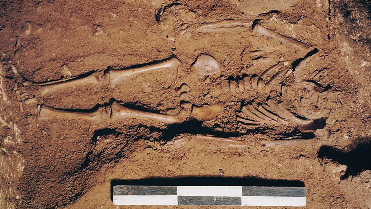 Esqueleto de menino da Era Glacial, de 17 mil anos, é descoberto na Itália