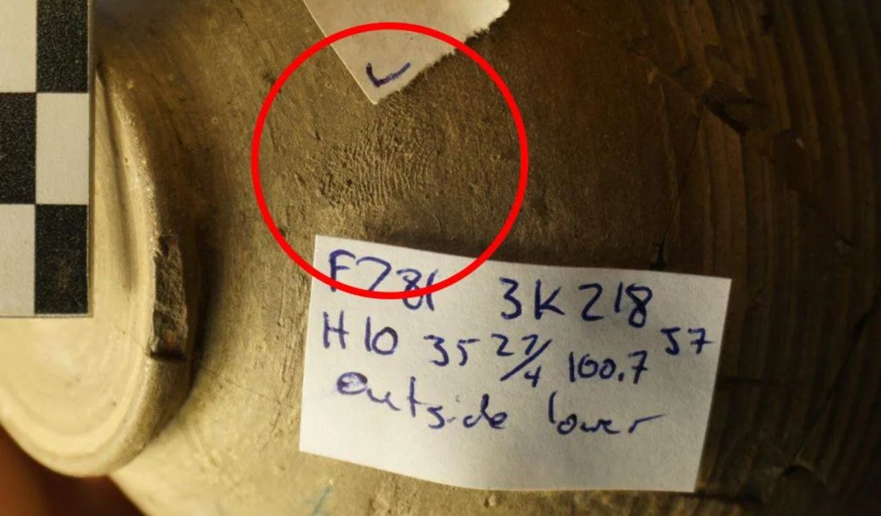 Estudo revela evidências de trabalho infantil na Síria há 4.500 anos