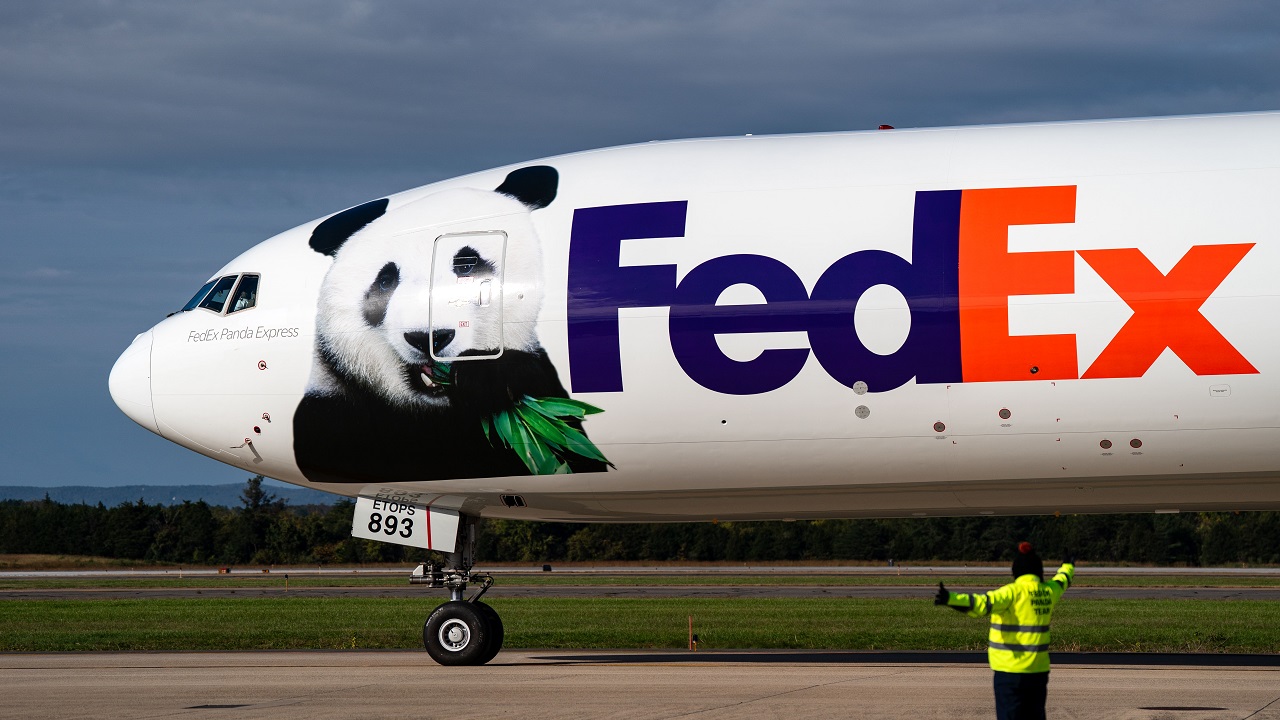 Pandas gigantes chegam da China aos EUA como símbolo de amizade e esperança