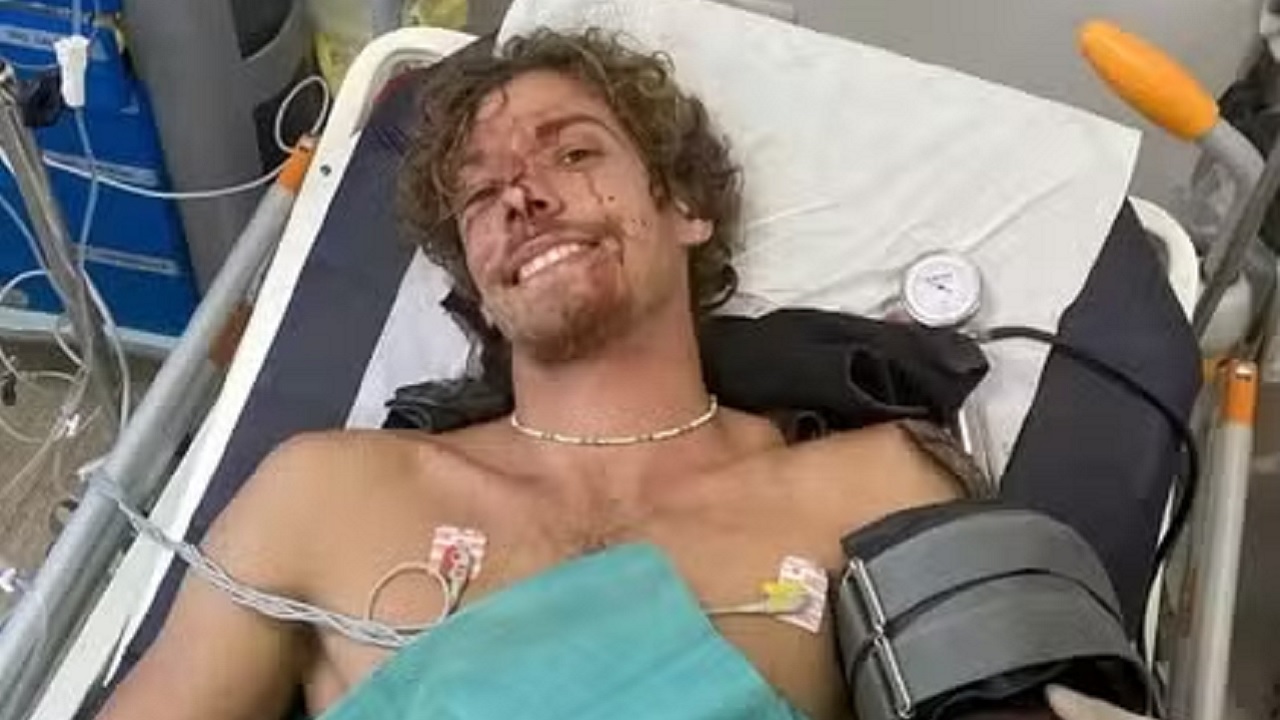 Mergulhador esfaqueia tubarão que o atacou para salvar a própria vida