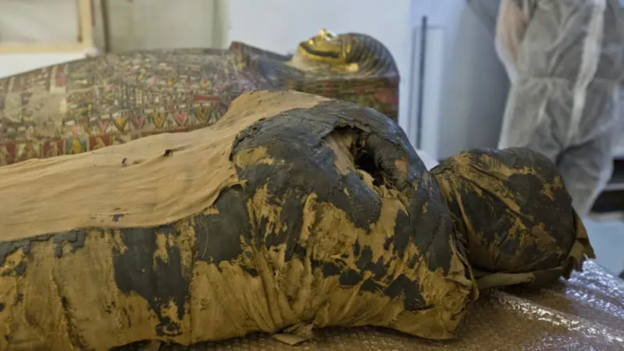 Relembre a descoberta curiosa da múmia de uma mulher grávida