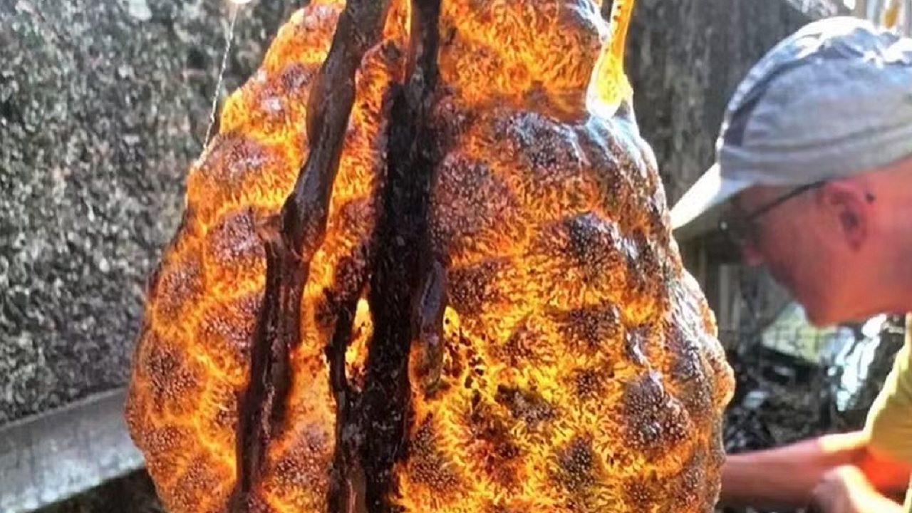 ‘Saco laranja brilhante’ achado em rio na Holanda chama atenção